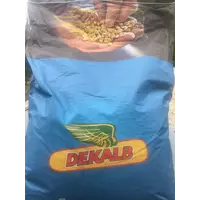 Семена кукурузы Monsanto (Dekalb) ДКС 2960 ФАО 250